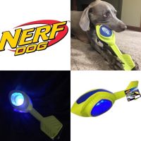 Nerf Light Up ของเล่นสัตว์เลี้ยง