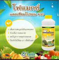 โฟแมกซ์ แคลเซียมโบรอน 400 (Phomax CaB 400)ขนาด 1ลิตร ช่วยเพิ่มการผสมเกสร เพิ่มการติดผล ลดการหลุดร่วงของผล
ลดปัญหาผล เถา และต้นแตกในพืชต่างๆ
ช่วยขยายขนาดผล ทำให้เนื้อแน่น ป้องกันแกนไส้นิ่ม รสชาติและสีดีขึ้น