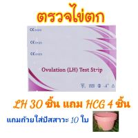 ที่ตรวจไข่ตก LH (Ovulation Test Strip) ชุด 30 ชิ้น แถม ที่ตรวจครรภ์ 4 ชิ้น