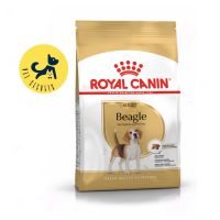 Royal Canin Beagle Adult 12 kg. อาหารเม็ด สำหรับสุนัขโต พันธุ์บีเกิ้ล อายุ 12 เดือนขึ้นไป