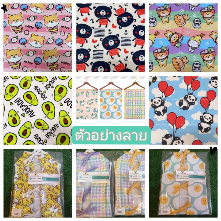 พร้อมส่ง-ชุดหลังผ่าตัดสัตว์เลี้ยง-ชุดทำหมันสุนัขและแมว-เสื้อกันเลียสัตว์เลี้ยง-เสื้อทำหมันสัตวแพทย์เลือกใช้-what-the-dogs