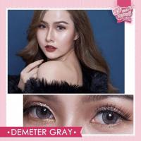 คอนแทคเลนส์ บิ๊กอาย รุ่น Demeter สีเทา/ตาล Gray/Brown มีค่าสายตา (0.00)-(-6.00)