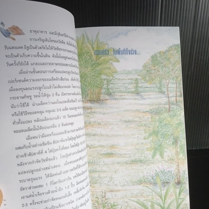 สวนผักรักษ์ไทย-โครงการเฉลิมพระเกียรติ-เนื่องในโอกาสพระราชพิธีมหามงคล-เฉลิมพระชนมพรรษา-6-รอบ-5-ธันวาคม-2542-171-หน้า