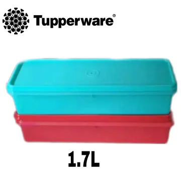 Tupperware 1L Freezermate Storage container 2 Piece GREEN Plastic Utility  Container (Pack of 2, Green)