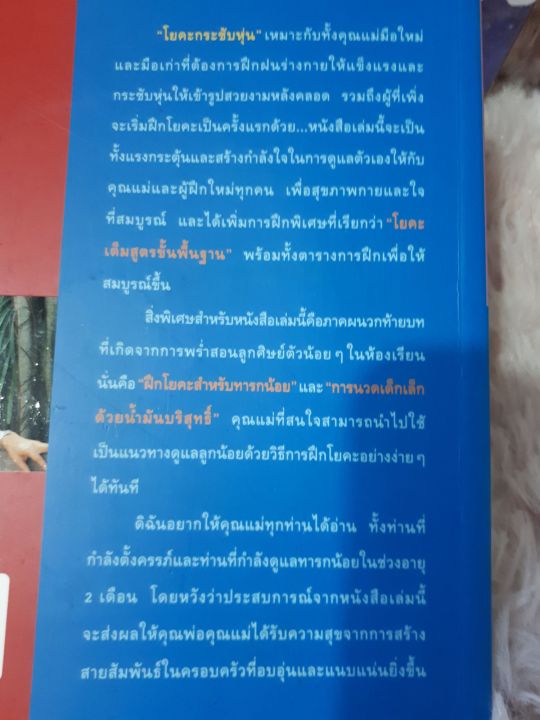 คู่มือฟื้นฟูสุขภาพสู่ความสมดุลของเรือนร่างหลังคลอด-โยคะกระชับหุ่น-ไม่มีวีซีดี-หนังสือมือสอง