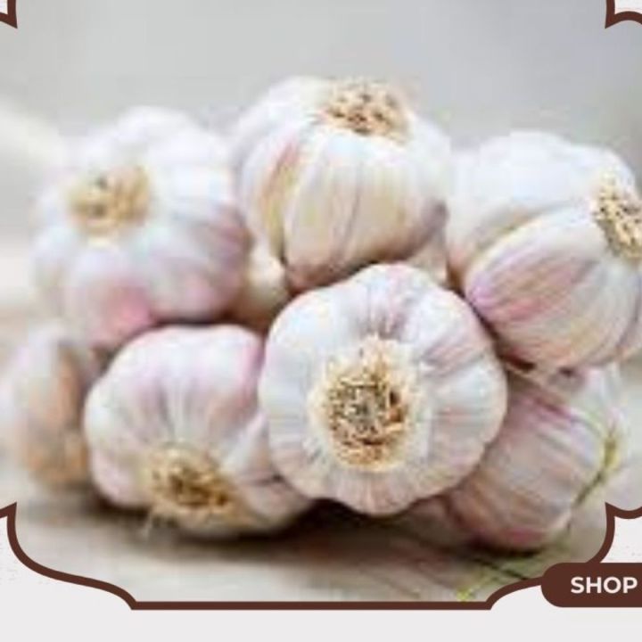 Bawang Putih Honan Bersih Dan Kotor 1kg Dan 500gr Lazada Indonesia