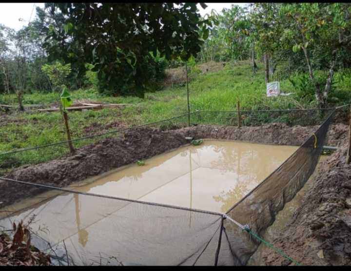 keramba waring RK TRIPLE 3x6x2 hitam | Lazada Indonesia