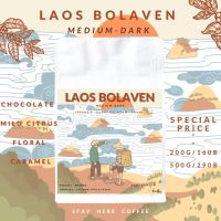 เมล็ดกาแฟคั่วกลางเข้ม Laos Bolaven (คัดไซต์ A)