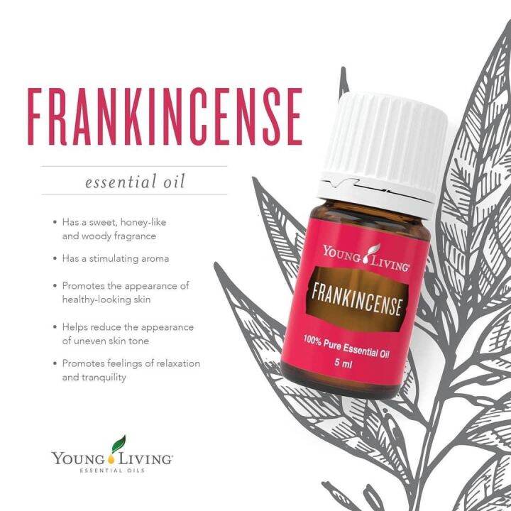 Young living Essential Oil Frankincense Lazada PH
