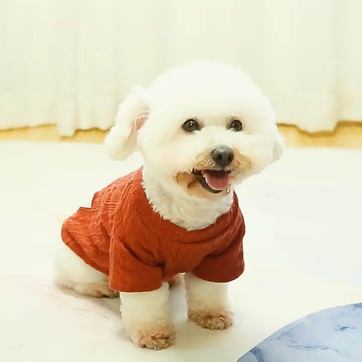 Pet Dog Clothes Cute Waffle Dogs Vest Shirt Puppy Clothes Pet Cat Dog T