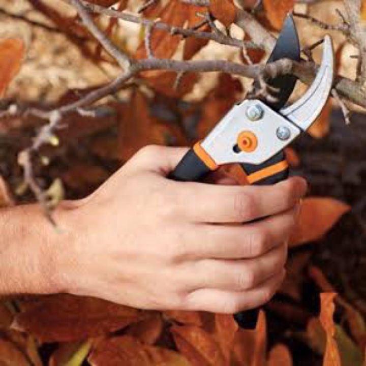 fiskars-bypass-pruning-shears-5-8-new