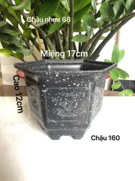 10 Chậu Nhựa Giả đá Giá Tốt T01/2024 | Mua tại Lazada.vn