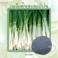 ต้นหอมญี่ปุ่น Japanese Bunching Onion