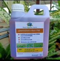 จุลินทรีย์สังเคราะห์แสง 1ลิตร  Thai Organic Farm