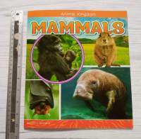 ความรู้ทั่วไป ภาษาอังกฤษ Mammals สัตว์ Animal knowledge book