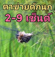 ข่ายดักนก!!