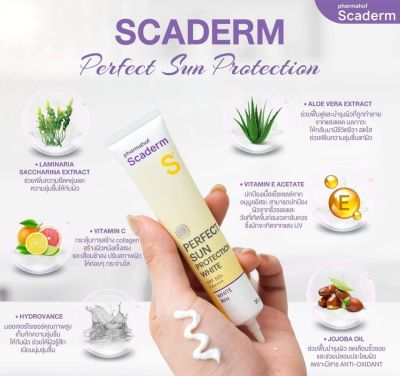 หมดอายุ 12/24 กันแดด สีขาว scaderm 30 กรัม pharmahor sun protection SPF 50 ผิวทุกประเภท