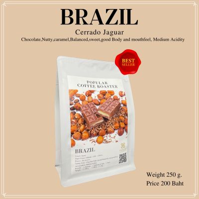 เมล็ดกาแฟคั่ว Brazil Cerrado jaguar  popular CoffeeRoaster (คั่วกลาง)