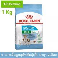 ROYAL CANIN-Mini Starter อาหารสุนัข ขนาด 1 Kg