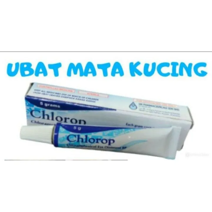 Ready Stock Ubat Sakit Mata Kucing 5g Lazada