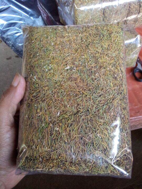 Daun Talas Beneng Kering Gram Grade C Lazada Indonesia