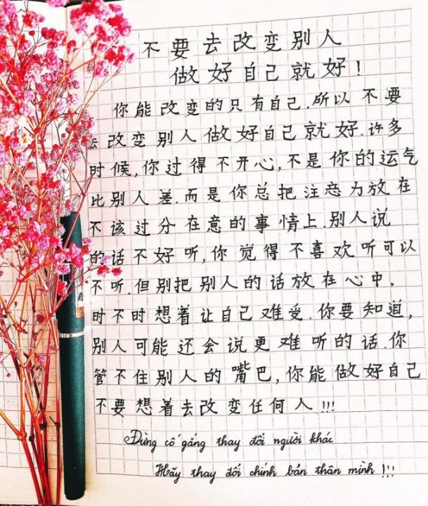 Vở ô ly nhỏ viết chữ Hán Nhật Hàn giang nam điêu luyện, gọn đẹp ...