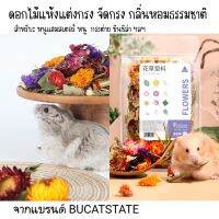 [BUCATSTATE]ดอกไม้แห้งแต่งกรงสัตวเลี้ยง กลิ่นหอมจากธรรมชาติ จัดสวนสวยๆ