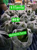 ?ใบกระท่อมปทุม *ใบคละไซส์* ?1กิโล 80 ? ยัน?% เก็บสดส่งทุกวัน ใบมีปัญหาเราเคลม?%? #ใบกระท่อม