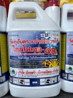 ?ไกลโฟเสต48% 4 ลิตร (เอ็กซตร้า) ไกลโฟเสต-ไอโซโพรพิลแอมโมเนียม