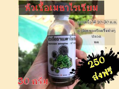 หัวเชื้อเมธาไรเซียม​ เมธาไรเซียม​ กำจัดแมลง​ ด้วง​ ขนาด30กรัม