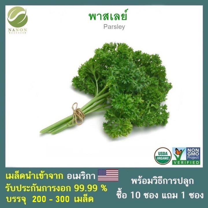 เมล็ดพาสเลย์-จำนวน-200-300-เมล็ด