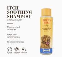 ??พร้อมส่ง?? Burts Bees for Pets Itch Soothing Shampoo with Honeysuckle | Anti-Itch Dog Shampoo for All Dogs with Sensitive Skin