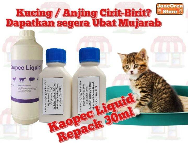 Ubat Cirit Birit Kucinganjinglembukambingkuda Repack 30ml Free