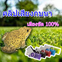 เสียงต่อ กบนา  แฟลชไดรฟ์ เสียงดี ชัดแจ๋ว100% เข้าแน่นอน