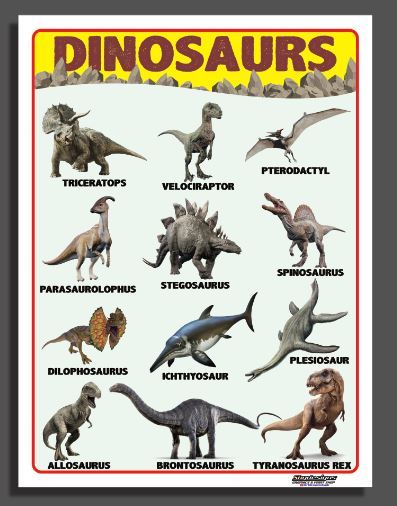 EDUCATIONAL TARPAULIN POSTER DINOSAURS 45X60CM | Lazada PH