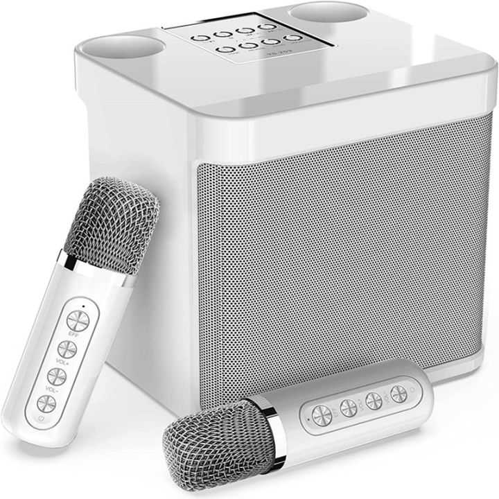 Karaoke Machine,Portable Bluetooth Karaoke Speaker with 2 Wireless