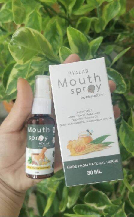 พร้อมส่ง-hyalab-propoliz-spray-โพรโพลิซ-โพรโพลิส-30-ml-propolis-สเปรย์ฆ่าเชื้อ-สเปรย์พ่นคอ-แก้เจ็บคอ