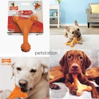 Nylabone Power Chew ของเล่นขัดฟัน Axis Bone