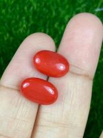 แดงปะการังคู่ 9.35cts 13x8.5x5.5mm 9.35cts red coral pair 13x8.5x5.5mm