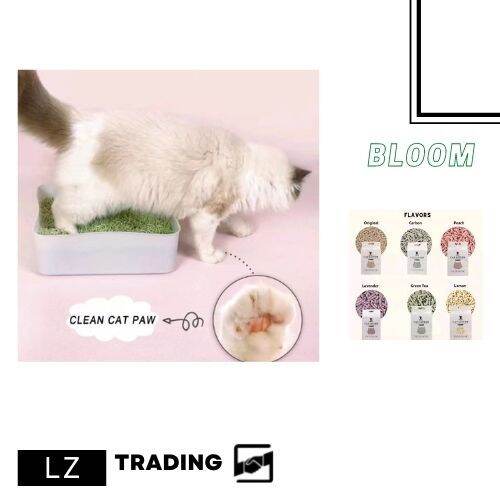 BLOOM SALE Cat Litter 6L Food Grade Plant Tofu Residue Made Super