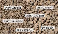 หินภูเขาไฟ ชนิดปั้นเม็ด Volcano Rock (Granular)