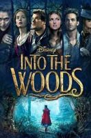 ดีวีดี ภาพยนต์ บลูเรย์ Blu-ray เรื่อง Into the woods มหัศจรรย์คำสาปแห่งป่าพิศวง ซับไทย เปลี่ยนภาษาได้