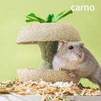 [Carno] ถ้วยแอปเปิ้ลลับฟัน ที่ลับฟัน ถ้วยอาหาร แฮมเตอร์