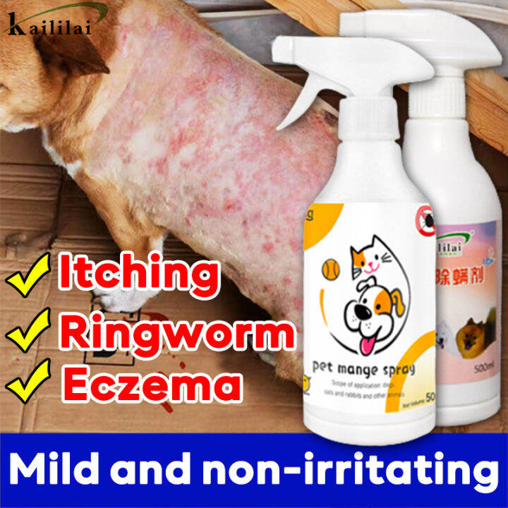 😻100 effective🐶BD Mange treatment dogs Pet skin treatment spray dog
