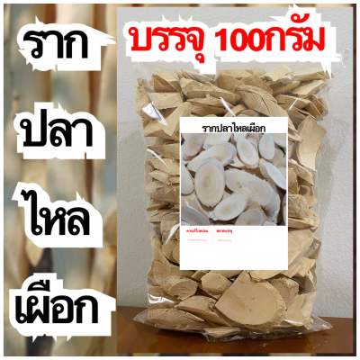 รากปลาไหลเผือก บรรจุ 100กรัม รากปลาไหลเผือกแห้ง สมุนไพรรากปลาไหลเผือก สมุนไพรรากปลาไหลเผือกแห้ง