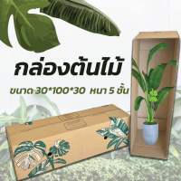 พร้อมส่ง !! กล่องต้นไม้ขนาดยาว 1 เมตร (10 ใบ)