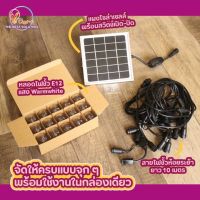 สายหลอดไฟราว​ระย้า ขั้ว E12 พร้อมหลอดไฟปิงปอง LED 12 ดวง รวมแผงโซล่าเซลส์ สายยาว​10เมตร ไม่ต้องต่อปลั๊กไฟ วางตากแดดใช้งานได้ทันที