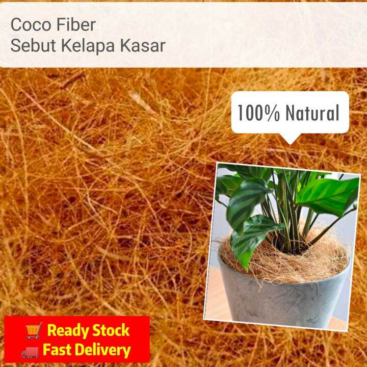 Sabut Kelapa Kasar Coco Fiber Kg Pack Lazada