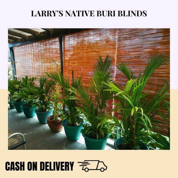 4 ½ ft WIDTH 3ft LENGTH Native Buri Rollup Blinds for indoor and