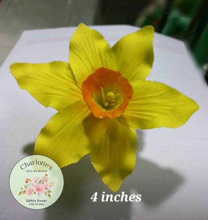 EDIBLE DAFFODIL GUMPASTE FLOWER FOR CAKE TOPPER Lazada PH
